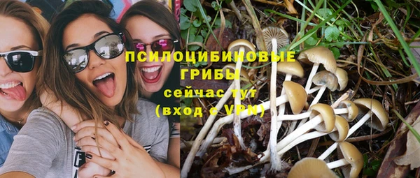 гидропоника Армянск