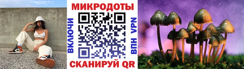 Галлюциногенные грибы Psilocybine cubensis Коломна