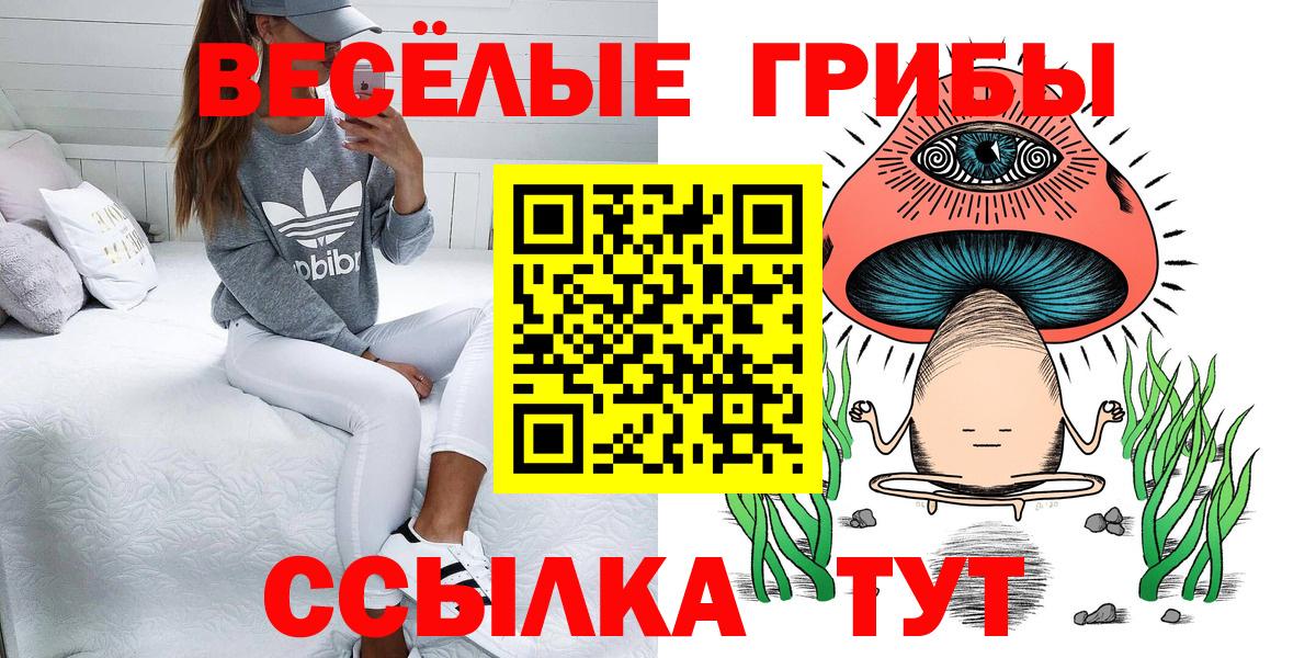 Псилоцибиновые грибы GOLDEN TEACHER Коломна