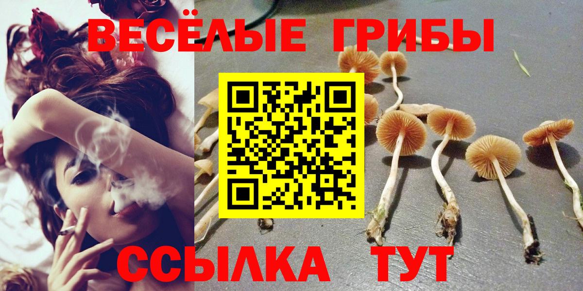 Псилоцибиновые грибы мицелий  Вход с VPN  Коломна 