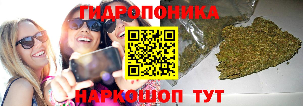 Коломна  Бошки Шишки Amnesia  Конопля семена  Вход с VPN  Канабис Amnesia 